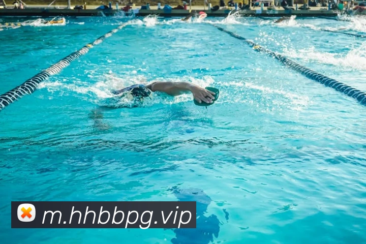 pg官网平台生态图